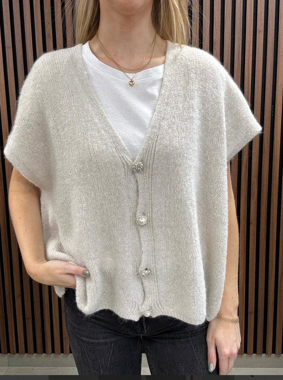 Josse vest, Gemini