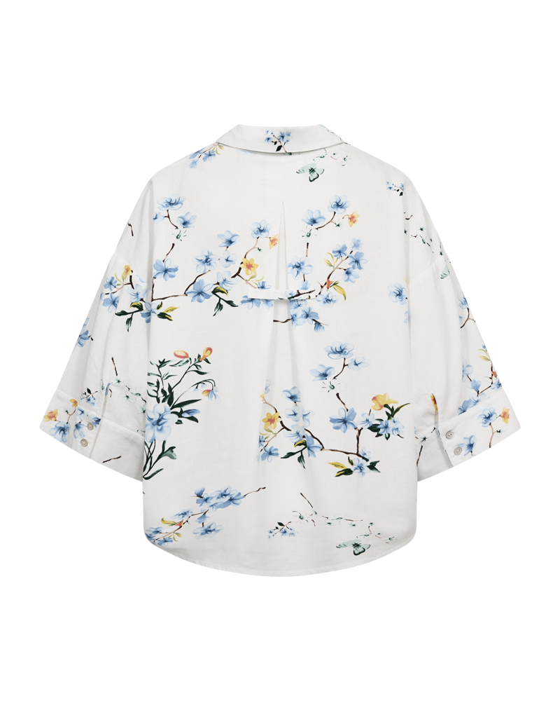 Lavisco blus, Freequent